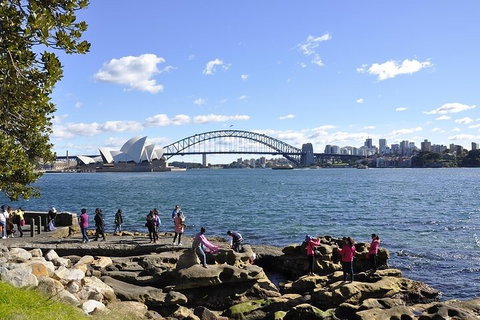 Sydney Sightseeing Bus Tours - Attractions Brisbane 2