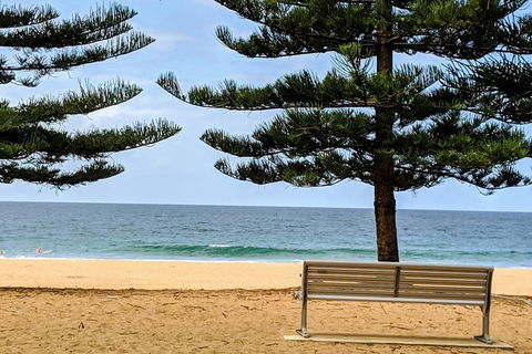 Manly & Sydney's Northern Beaches With 'Personalised Sydney Tours' - Attractions Brisbane 0