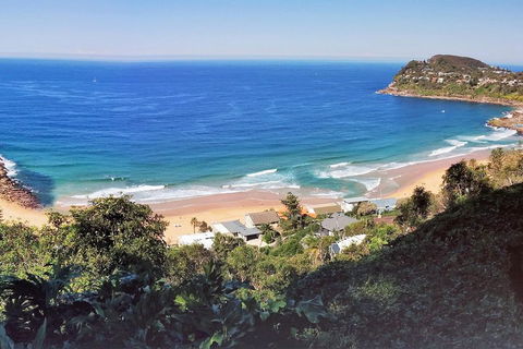 Manly & Sydney's Northern Beaches With 'Personalised Sydney Tours' - Attractions Brisbane 2