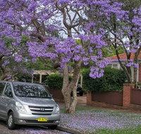 Sydney Secrets  Bondi Beach Private 4 Hr Morning with Personalised Sydney Tours - Attractions Brisbane