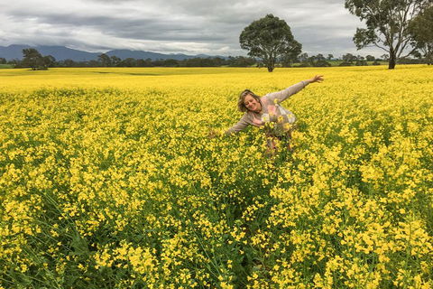 Grampians - Private Tour - Attractions Brisbane 3