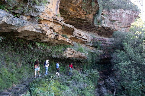 Blue Mountains Nature And Wildlife Day Tour From Sydney - Attractions Brisbane 2