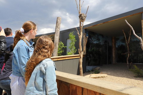 Blue Mountains Nature And Wildlife Day Tour From Sydney - Attractions Brisbane 3