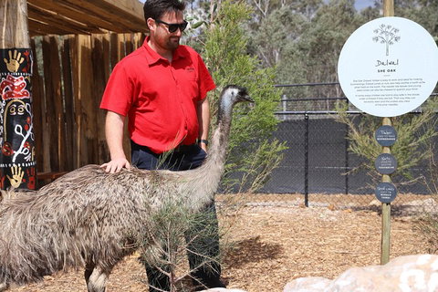Blue Mountains Nature And Wildlife Day Tour From Sydney - Attractions Brisbane 5