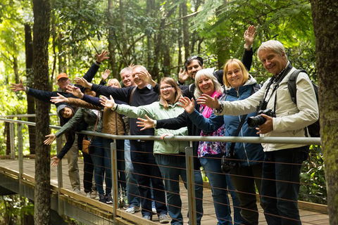 All Inclusive Blue Mountains Small-Group Day Trip From Sydney - Attractions Brisbane 5