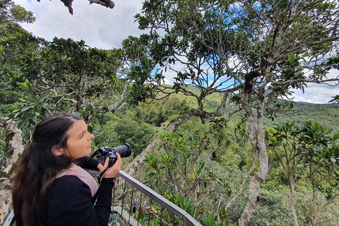 Lamington National Park, O'Reilly's & Vineyard Tour - Attractions Brisbane 1