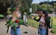 Lamington National Park, O'Reilly's & Vineyard Tour - thumb 5