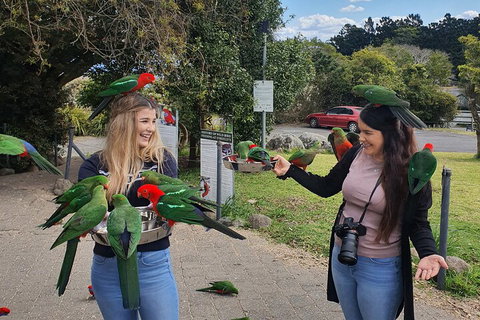 Lamington National Park, O'Reilly's & Vineyard Tour - Attractions Brisbane 5