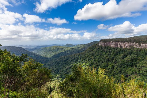 Natural Bridge & Springbrook Waterfalls Tour - Attractions Brisbane 1