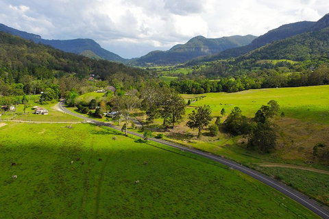 Natural Bridge & Springbrook Waterfalls Tour - Attractions Brisbane 2