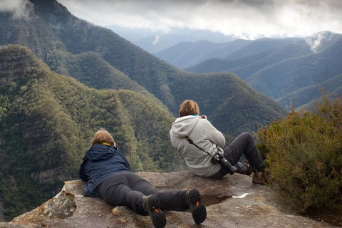 Inside The Greater Blue Mountains World Heritage - A Private Wildlife Safari Overnight - Attractions Brisbane 0