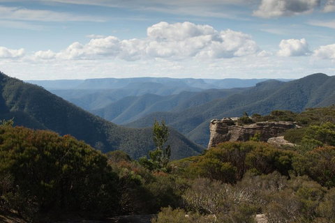 Inside The Greater Blue Mountains World Heritage - A Private Wildlife Safari Overnight - Attractions Brisbane 5