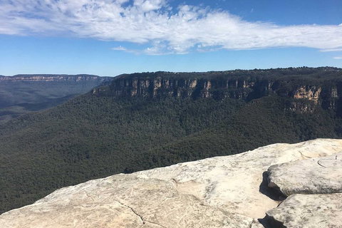 The Explorers' Discovery Tour - Gold, Wine & Wildlife - Attractions Brisbane 1