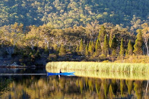 The Explorers' Discovery Tour - Gold, Wine & Wildlife - Attractions Brisbane 2