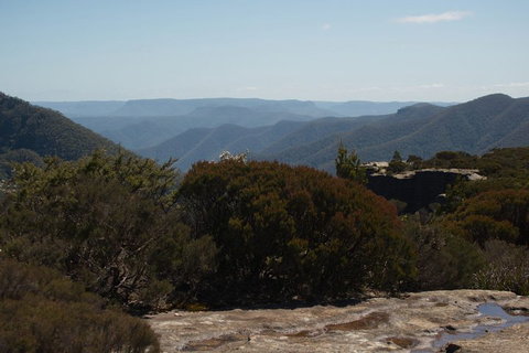 The Explorers' Discovery Tour - Gold, Wine & Wildlife - Attractions Brisbane 3