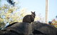 The Explorers' Discovery Tour - Gold, Wine & Wildlife - thumb 4