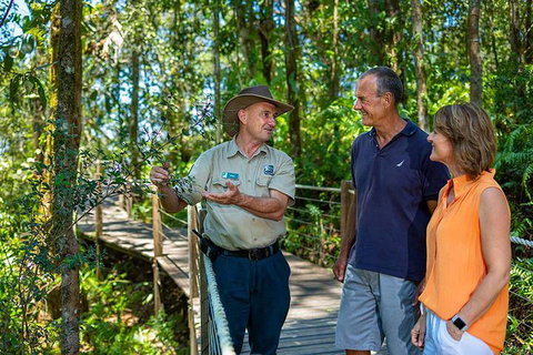 Kuranda Scenic Railway Day Trip From Cairns - Attractions Brisbane 1