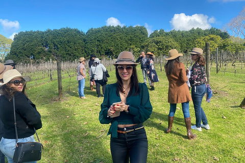 Mt Tamborine Full Day Wine Tour - Attractions Brisbane 1