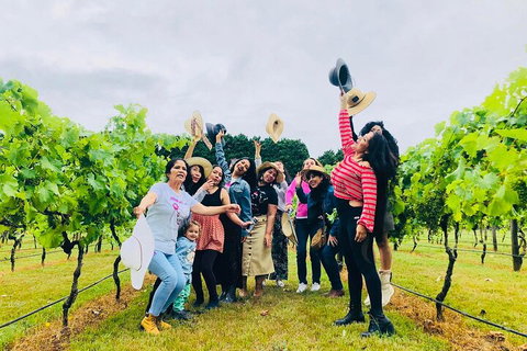 Mt Tamborine Full Day Wine Tour - Attractions Brisbane 4