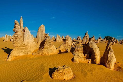Pinnacle Desert Sunset And Stargazing With Dinner - Attractions Brisbane 3