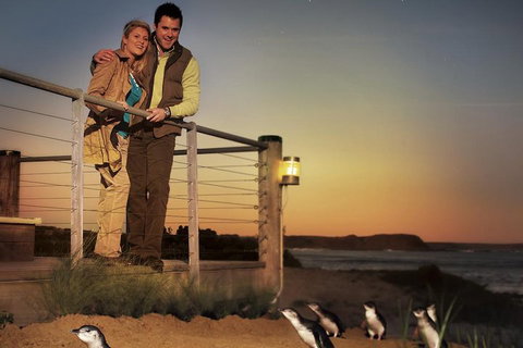 The Ultimate Melbourne Attractions Pass - Attractions Brisbane 3