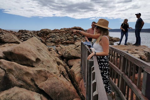 Margaret River Impression Day Tour From Perth - Attractions Brisbane 4