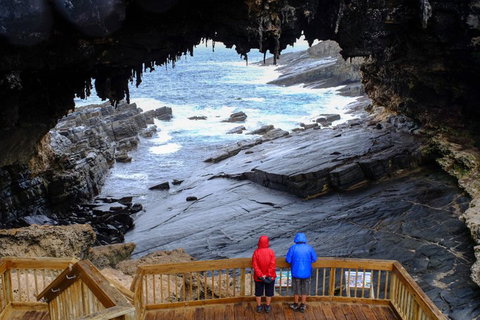 2-Day Kangaroo Island Safari From Adelaide - Attractions Brisbane 5