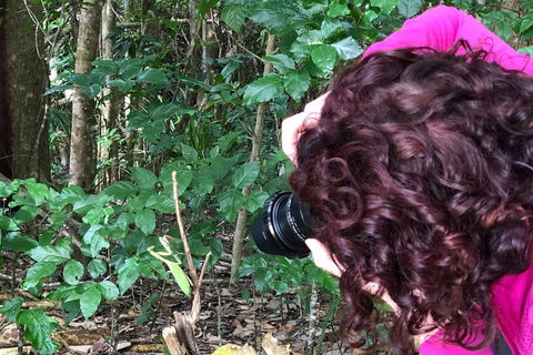 Let's Go Buggin & Let's Go Shroomin - Photography & Nature Walking Tours - Attractions Brisbane 1