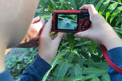 Let's Go Buggin & Let's Go Shroomin - Photography & Nature Walking Tours - Attractions Brisbane 2