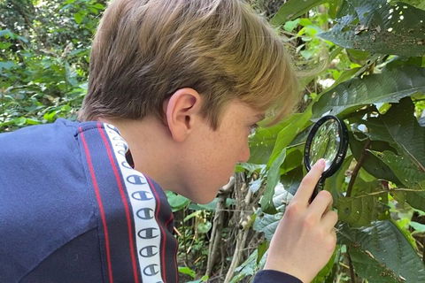 Let's Go Buggin & Let's Go Shroomin - Photography & Nature Walking Tours - Attractions Brisbane 3