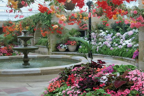 Hobart Half-Day Sightseeing Coach Tram Tour - Attractions Brisbane 3