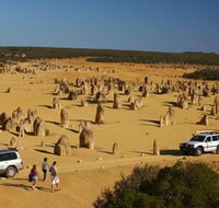 1-Day Pinnacles and Yanchep Tour from Perth including Fish and Chips Lunch - Attractions Brisbane