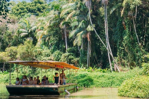 Tropical Fruit World Farm Full Tour - Attractions Brisbane 0