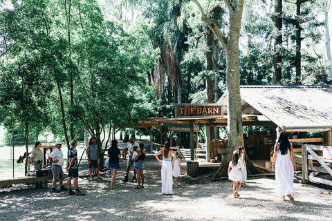 Tropical Fruit World Farm Full Tour - Attractions Brisbane 3