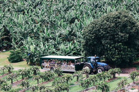 Tropical Fruit World Farm Full Tour - Attractions Brisbane 5