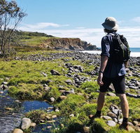Half Day Guided Small Group Walk - Attractions Brisbane