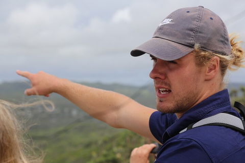 Half Day Guided Small Group Walk - Attractions Brisbane 1