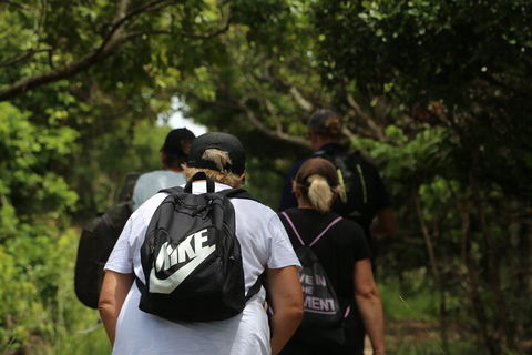 Half Day Guided Small Group Walk - Attractions Brisbane 4