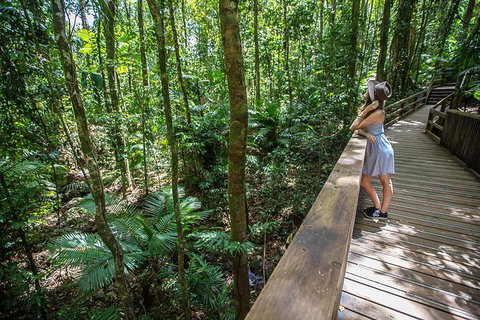 3 Day Great Barrier Reef, Daintree Rainforest And Outback Chillagoe Tour - Attractions Brisbane 3