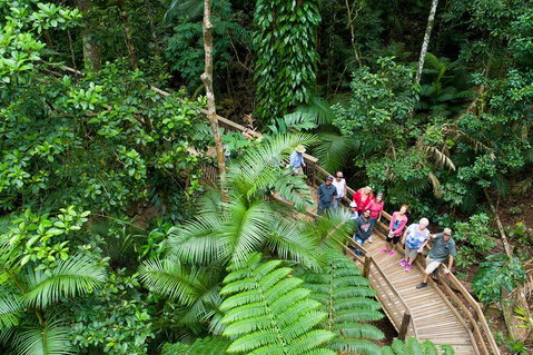2 Day Daintree Rainforest, Cape Tribulation And Outback Chillagoe Tour - Attractions Brisbane 3