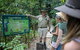 2 Day Daintree Rainforest, Cape Tribulation And Outback Chillagoe Tour - thumb 5