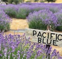 Kangaroo Island Food and Wine Trail Tour - Attractions Brisbane