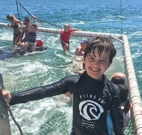 Port Stephens Private Tour From Sydney with Dolphin/ Whale Cruise Options - Attractions Brisbane