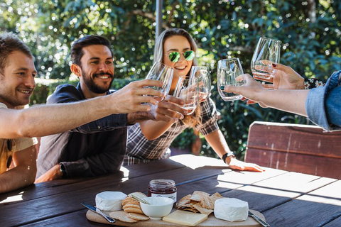 Full-day Wine-Tasting And Tamborine Mountain Tour With Lunch - Attractions Brisbane 0