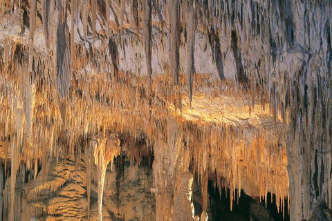 Margaret River, Caves, Wine And Cape Leeuwin Lighthouse Tour From Perth - Attractions Brisbane 3