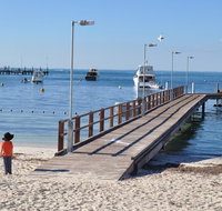 Monkey Mia Dolphins  Shark Bay Air Tour From Perth - Attractions Brisbane