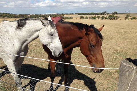 Legends & Champions Tour - Attractions Brisbane 1