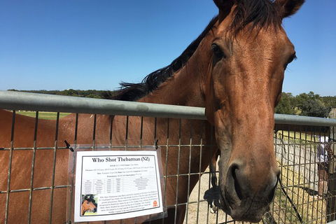 Legends & Champions Tour - Attractions Brisbane 4