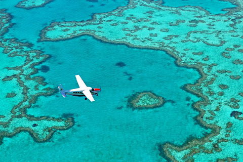 Reef And Island Scenic Flight From Airlie Beach - Attractions Brisbane 4