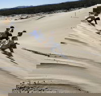 Port Stephens Bush Beach and Sand Dune 4WD Tag-Along Tour - Attractions Brisbane